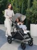 Коляска 2в1 UPPAbaby VISTA V3 GREYSON