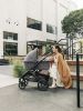 Коляска 2в1 UPPAbaby VISTA V3 GREYSON - UPPAbaby