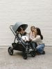 Коляска 2в1 UPPAbaby VISTA V3 DILLAN