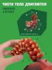 Картонный 3D пазл конструктор Makebug Bring Nature Home - Makebug