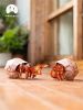 Картонный 3D пазл конструктор Makebug Bring Nature Home - Makebug