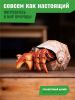 Картонный 3D пазл конструктор Makebug Bring Nature Home - Makebug