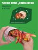 Картонный 3D пазл конструктор Makebug Bring Nature Home - Makebug