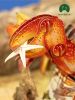 Картонный 3D пазл конструктор Makebug Bring Nature Home - Makebug