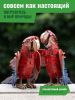 Картонный 3D пазл конструктор Makebug Bring Nature Home - Makebug
