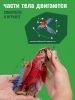 Картонный 3D пазл конструктор Makebug Bring Nature Home - Makebug