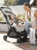 Коляска прогулочная UPPAbaby MINU V3 SAVANNAH - UPPAbaby