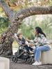 Коляска прогулочная UPPAbaby Cruz V2 LIAM - UPPAbaby