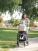 Коляска прогулочная UPPAbaby Cruz V2 LIAM - UPPAbaby