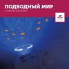 Проектор океанских глубин ZAZU Краб Коди - ZAZU
