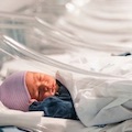 В Приморье вводят новую меру поддержки рождаемости