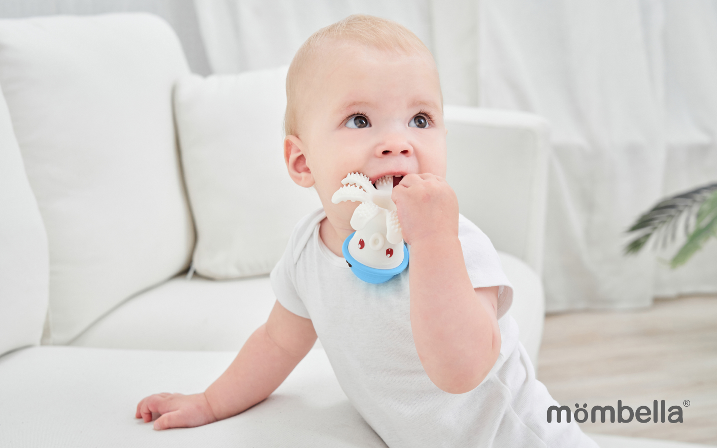 Mombella расширяет линейку прорезывателей: на что обратить внимание? — фото: 1
